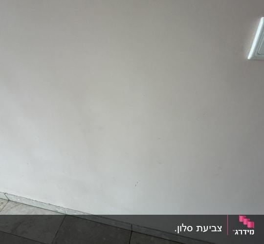 קיר פנים צבוע בגוון בהיר מעל רצפת אריחים